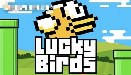 Lucky Birds